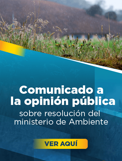 Ambiente