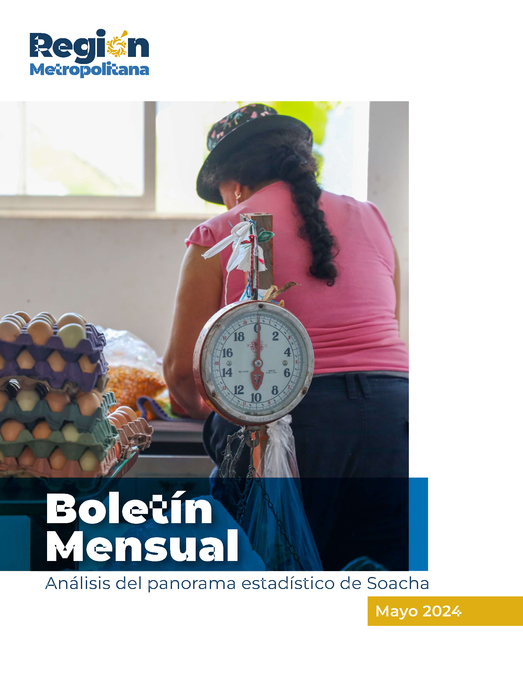 Boletín panorama estadístico de Soacha