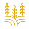 Producción