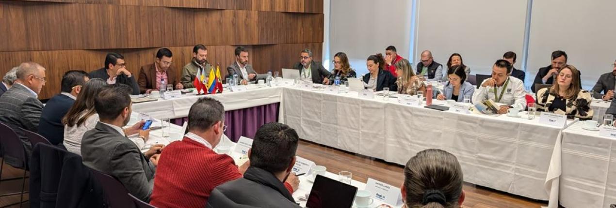  consejo regional 