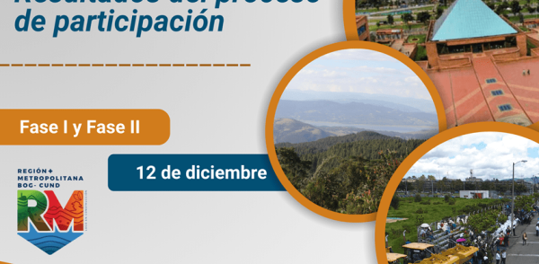 Resultados del Proceso de Participación Fase I y Fase II