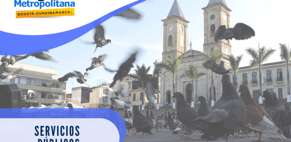 Servicios Públicos
